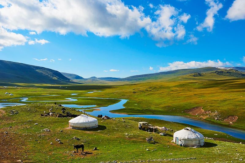 Un été en Mongolie !