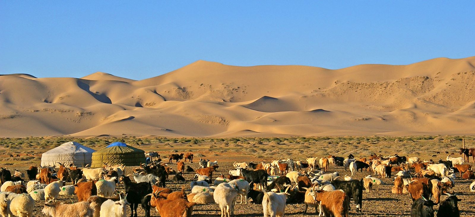 Image Du désert de Gobi au Khangaï