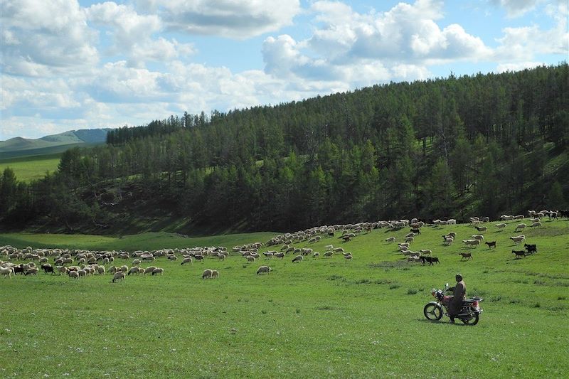 Steppes en trek et yourtes mongoles