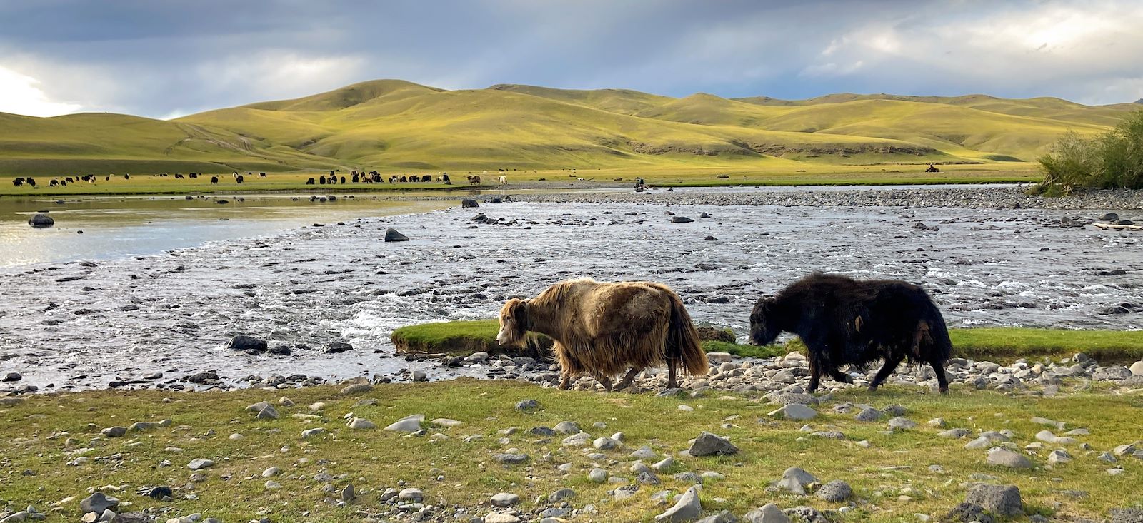 Image Rando au cœur de la Mongolie Sauvage