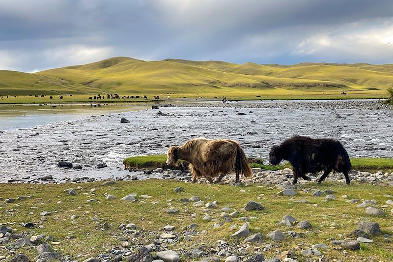 Vallée de l'Orkhon - Sum de Kharkhorin - Mongolie