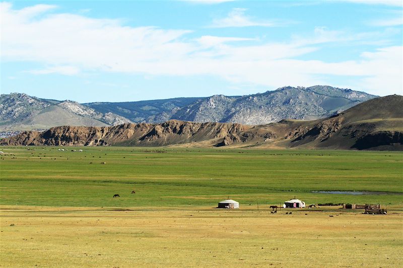 Mongolie