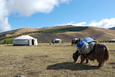 voyage Mongolie
