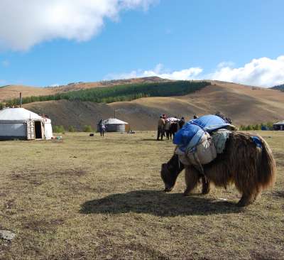 voyage Mongolie