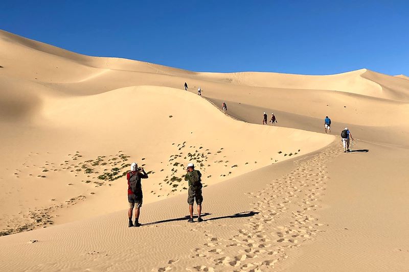 Dunes de Khongor (Khongoryn Els)- Parc national du Gobi Gurvan Saïkhan - Mongolie