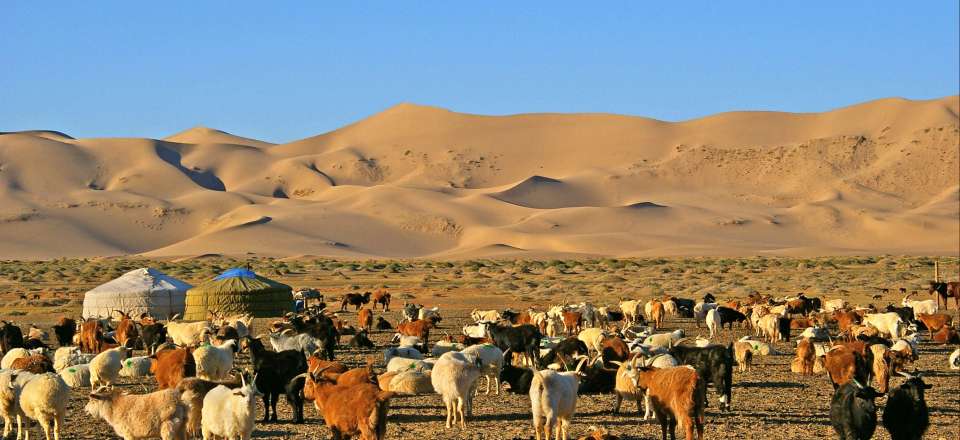 CIRCUIT DECOUVERTE MONGOLIE : Du désert de Gobi au Khangaï - Nomade Aventure