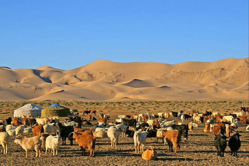 Du désert de Gobi au Khangaï