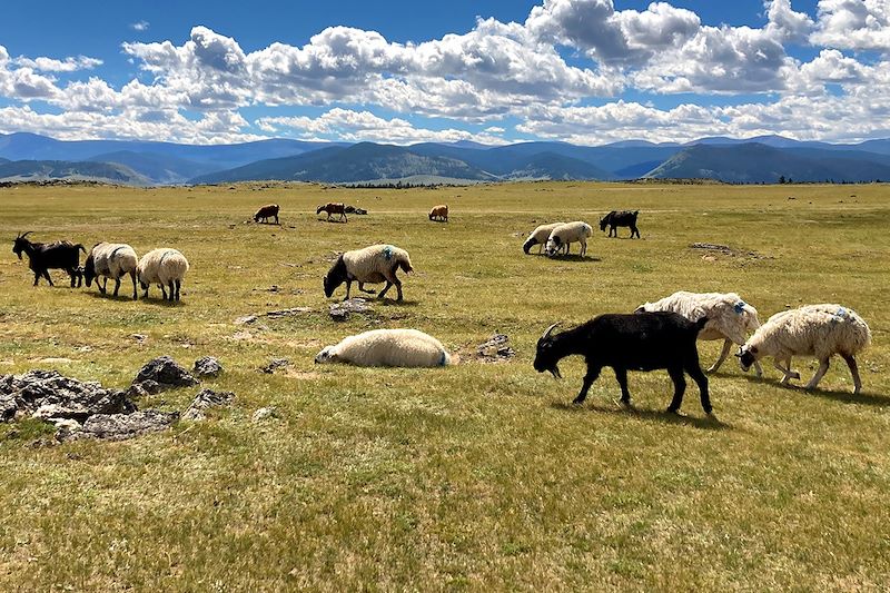 Vallée de l'Orkhon - Sum de Kharkhorin - Mongolie