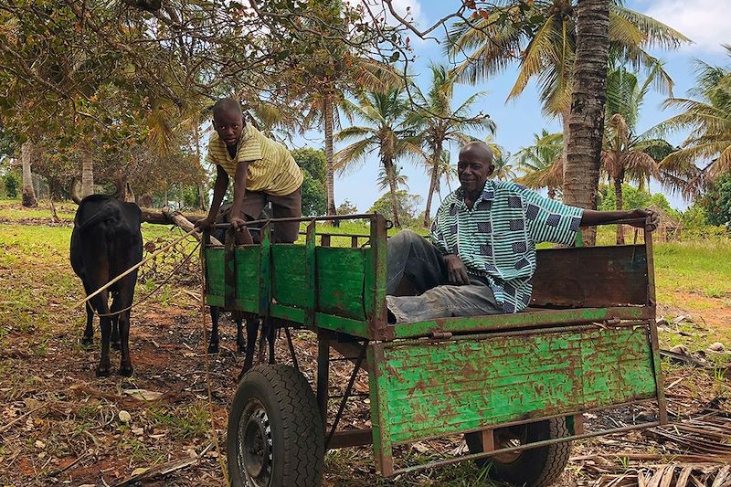 A la découverte du Mozambique