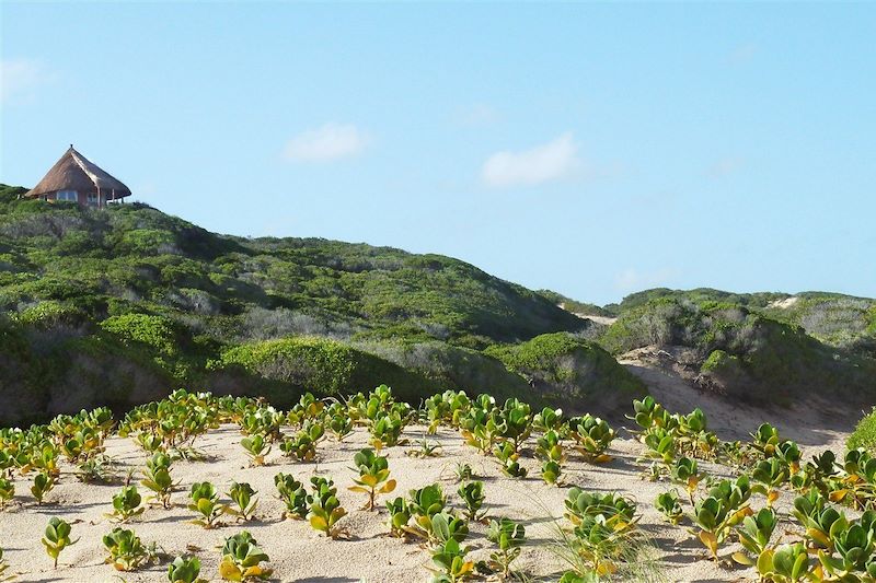 Dunes de Dovela - Inhambane - Mozambique