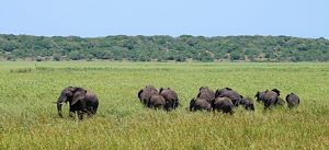 voyage Mozambique