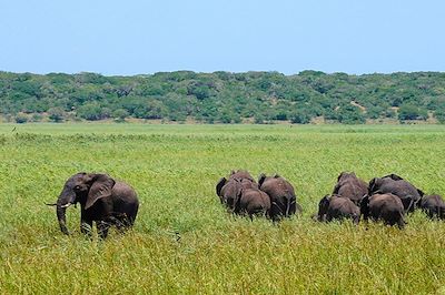voyage Mozambique
