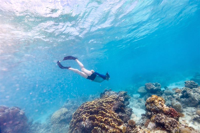 Snorkeling au Mozambique