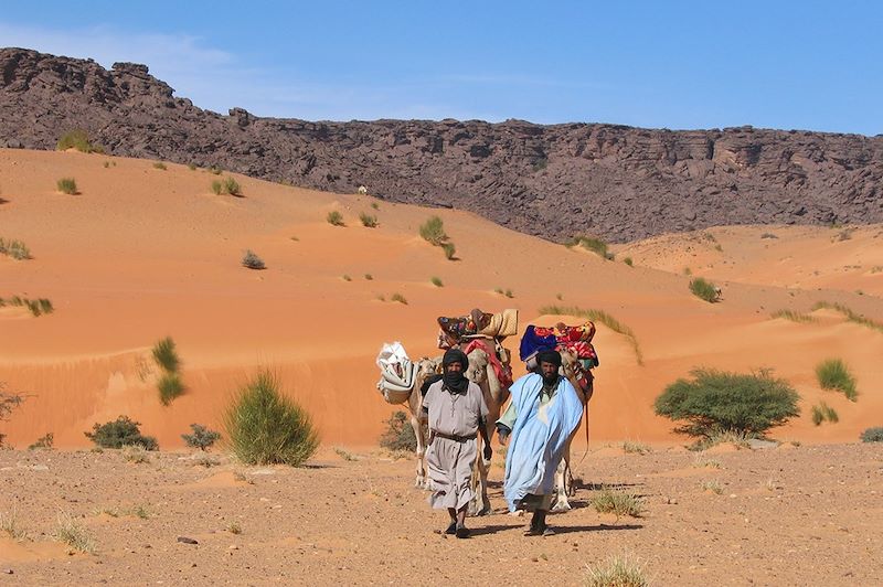 Le petit train bleu de l'Adrar