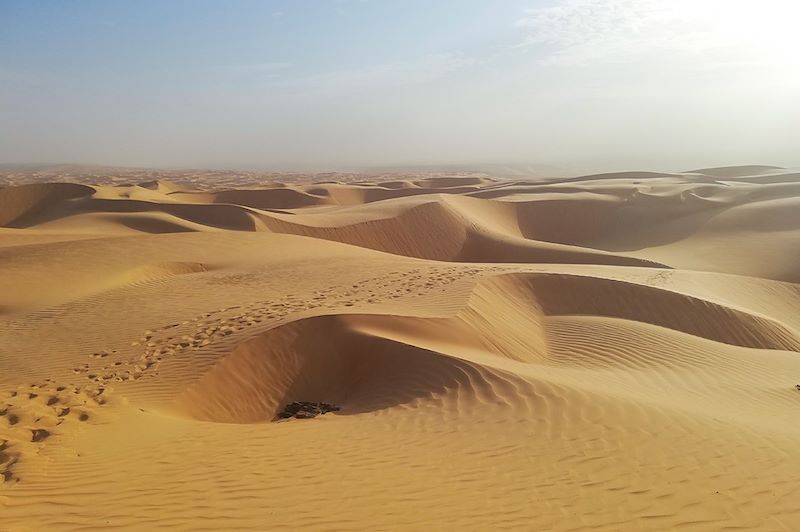 Océan de dunes dans l'Adrar - Mauritanie