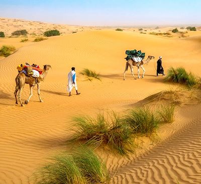 Trek et randonnée Mauritanie