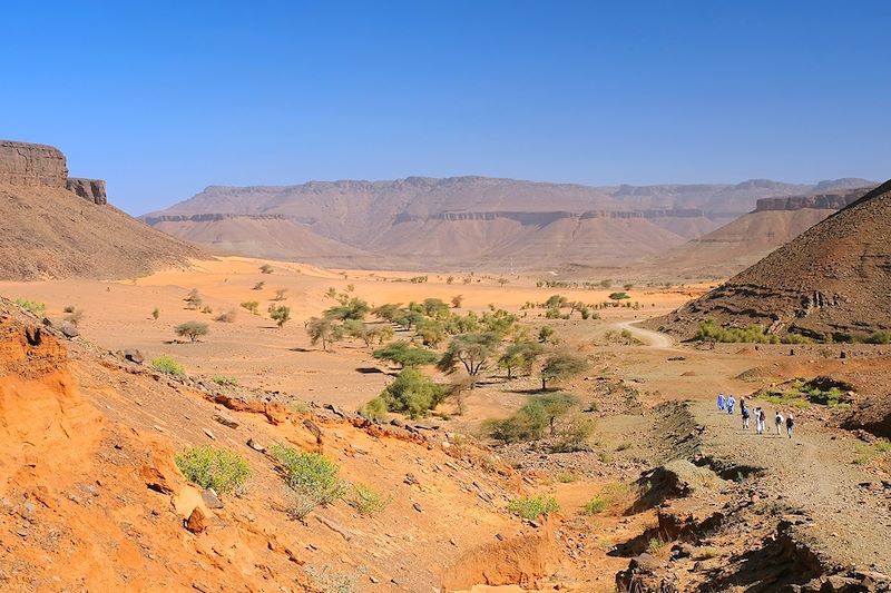 Oasis de Terjit - Adrar - Mauritanie