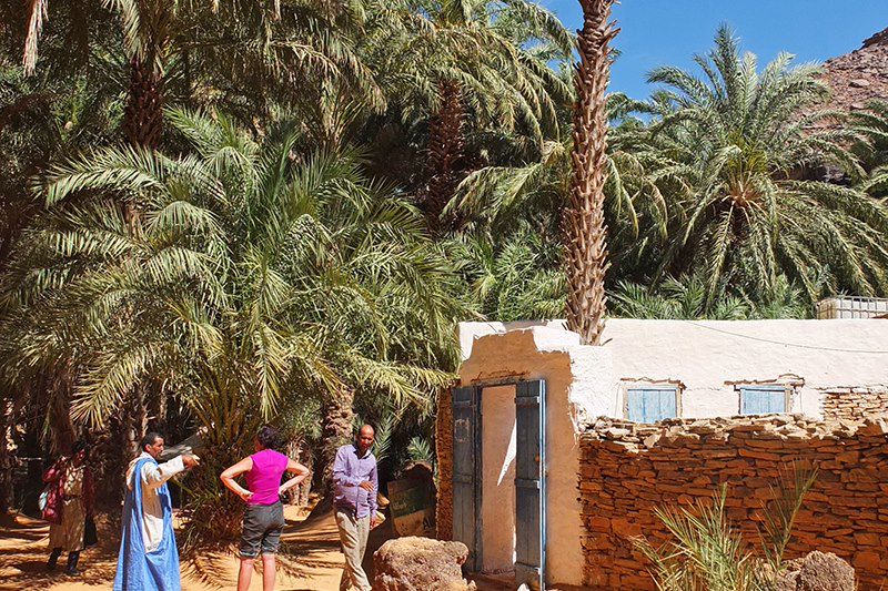 Oasis de Terjit - Adrar - Mauritanie