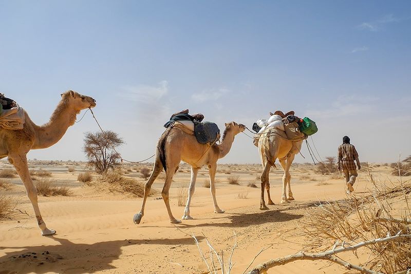 Dunes de Lemgualeg - Mauritanie