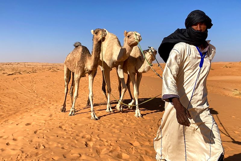 Erg Ouarane - Mauritanie