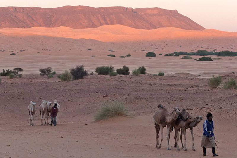 Dunes de l'Amatlich - Mauritanie