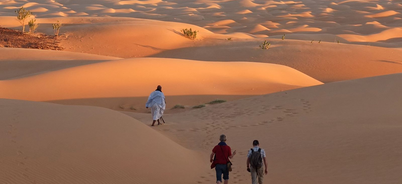 Image Dunes et oasis de l'Amatlich