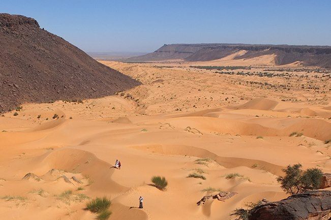 Dunes et oasis de l’Amatlich