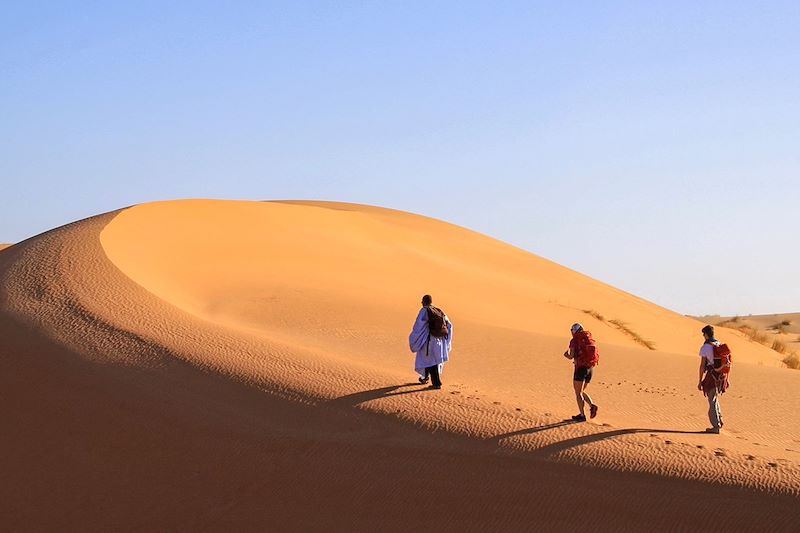 Dunes et oasis de l’Amatlich