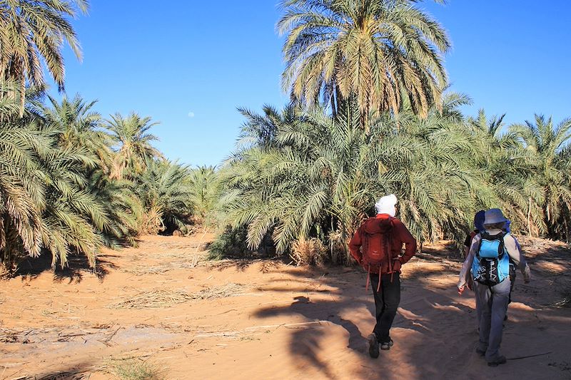 Oasis de Gleïtat - Mauritanie