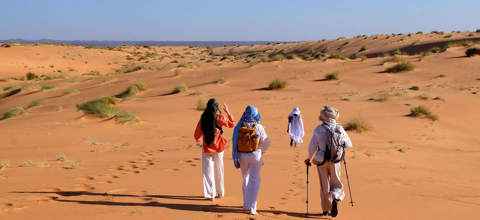 Image Dunes et oasis de l'Amatlich