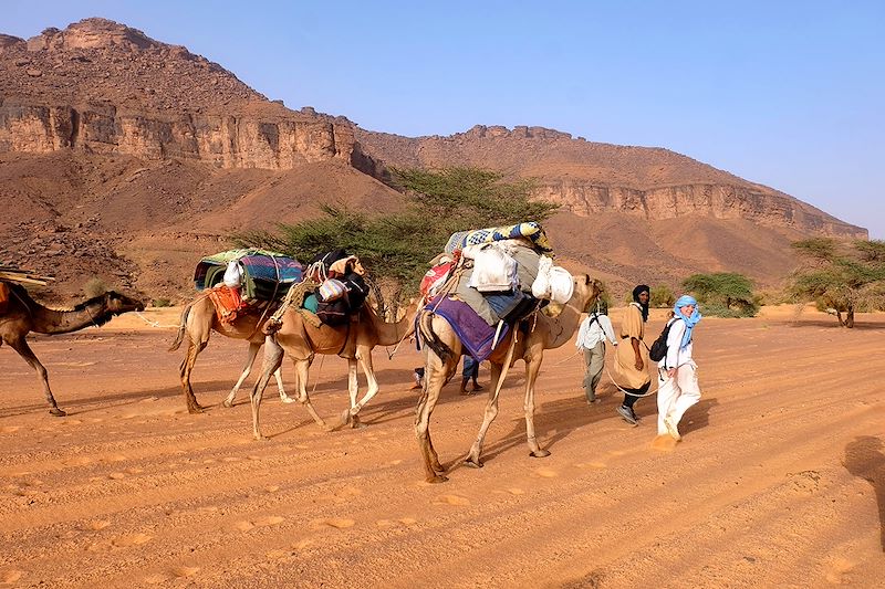 Randonnée de l'Oued El Abiod à Ehl Abdellahi - Mauritanie