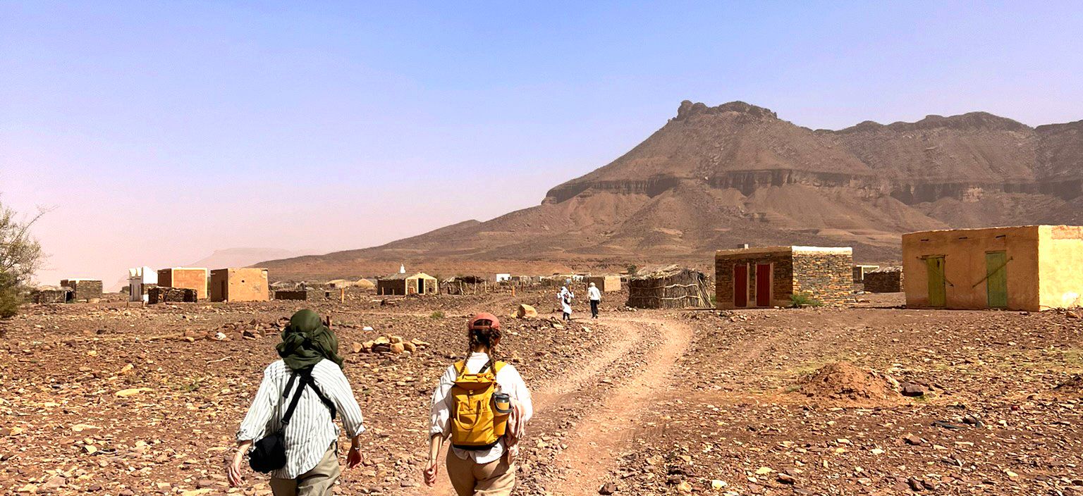 Image Dunes et oasis de l'Amatlich