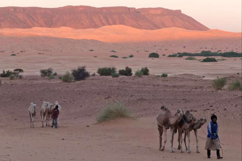 Dunes et oasis de l’Amatlich