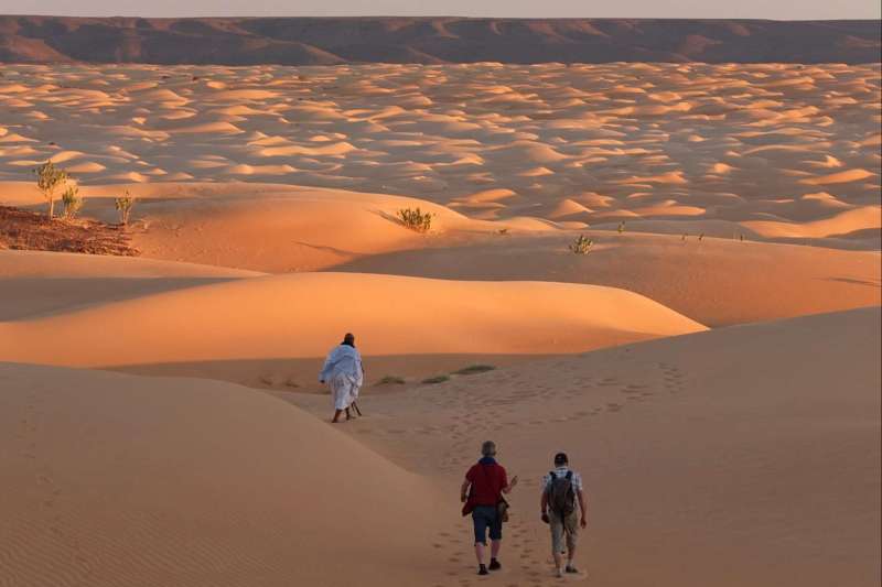 Dunes et oasis de l’Amatlich