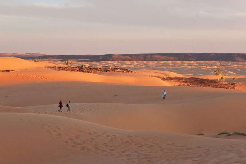 Dunes et oasis de l’Amatlich