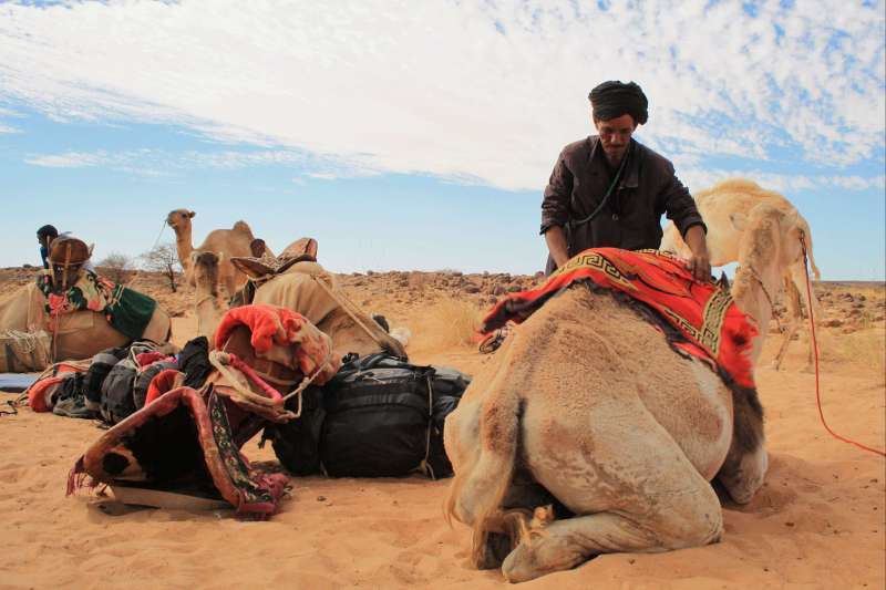 Dunes de l'Amatlich - Mauritanie
