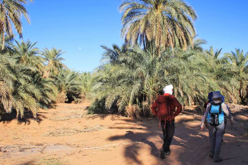 Dunes et oasis de l’Amatlich