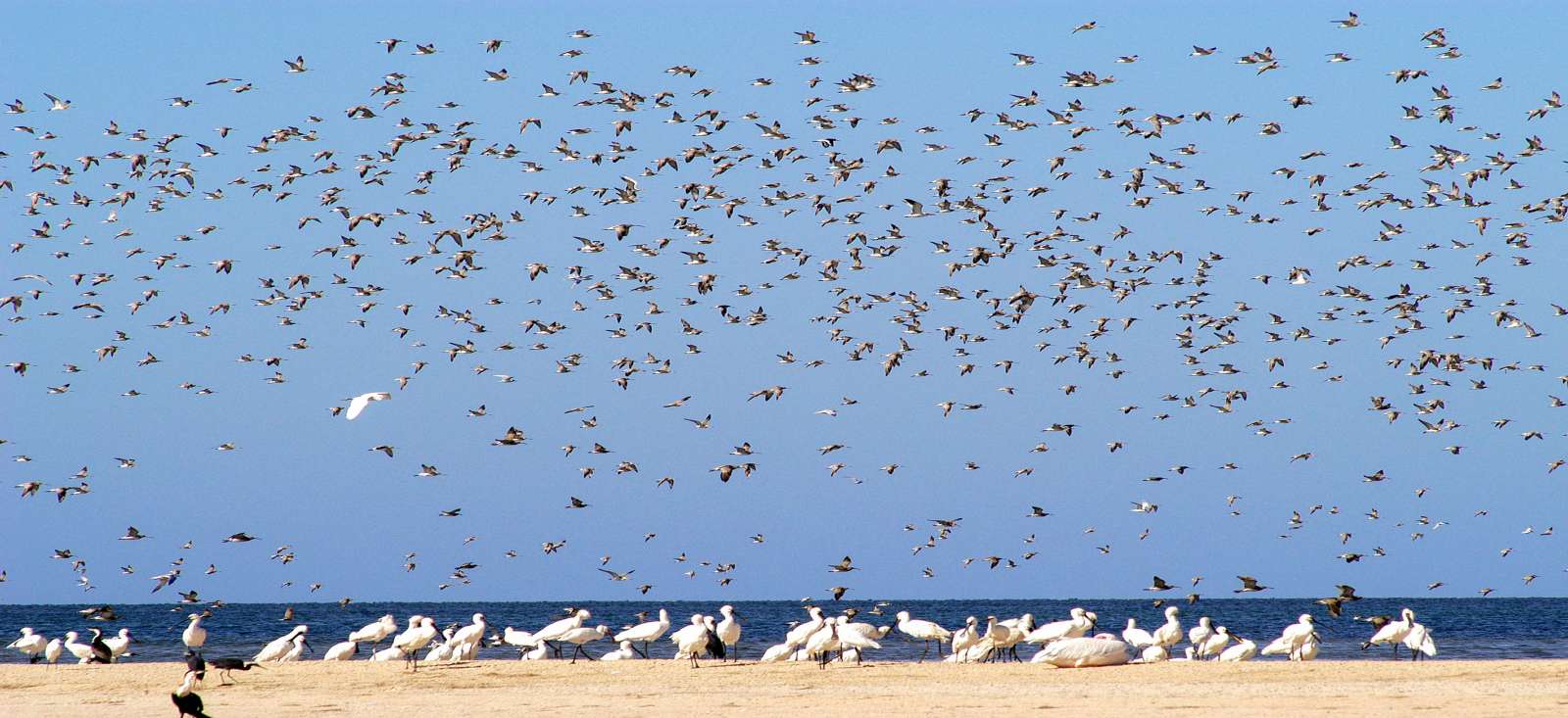 Voyage en véhicule Mauritanie : Du Sahara au Banc d\'Arguin! Voyage en véhicule Mauritanie : Du Sahara au Banc d\'Arguin!