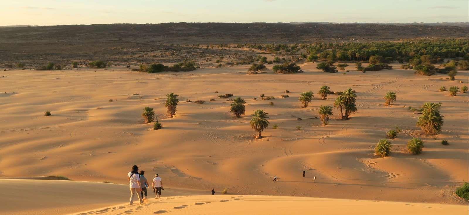 Trek - Petits et grands explorateurs de l\'Adrar