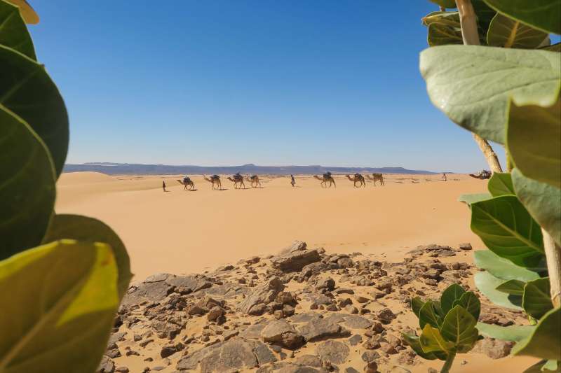 Dunes et oasis de l’Amatlich
