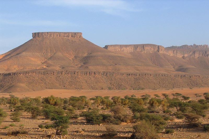 Charme de l'Adrar