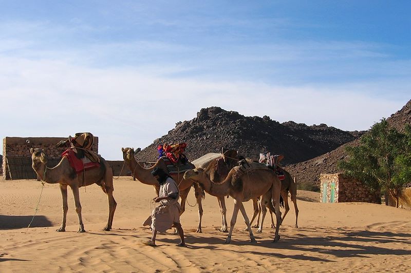 Charme de l'Adrar