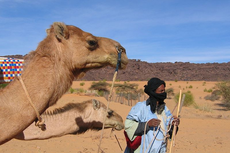 Charme de l'Adrar