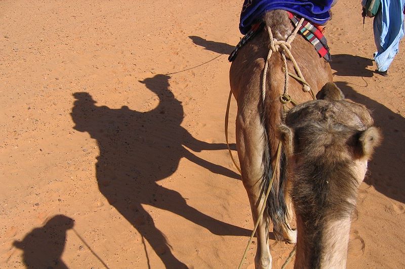 Charme de l'Adrar