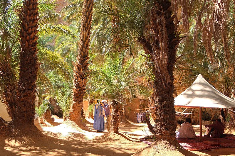 Oasis de Terjit - Adrar - Mauritanie