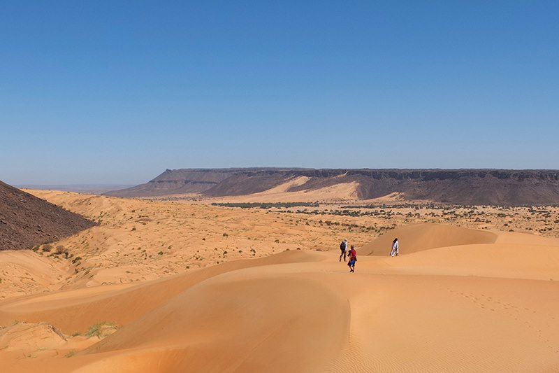 Charme de l'Adrar