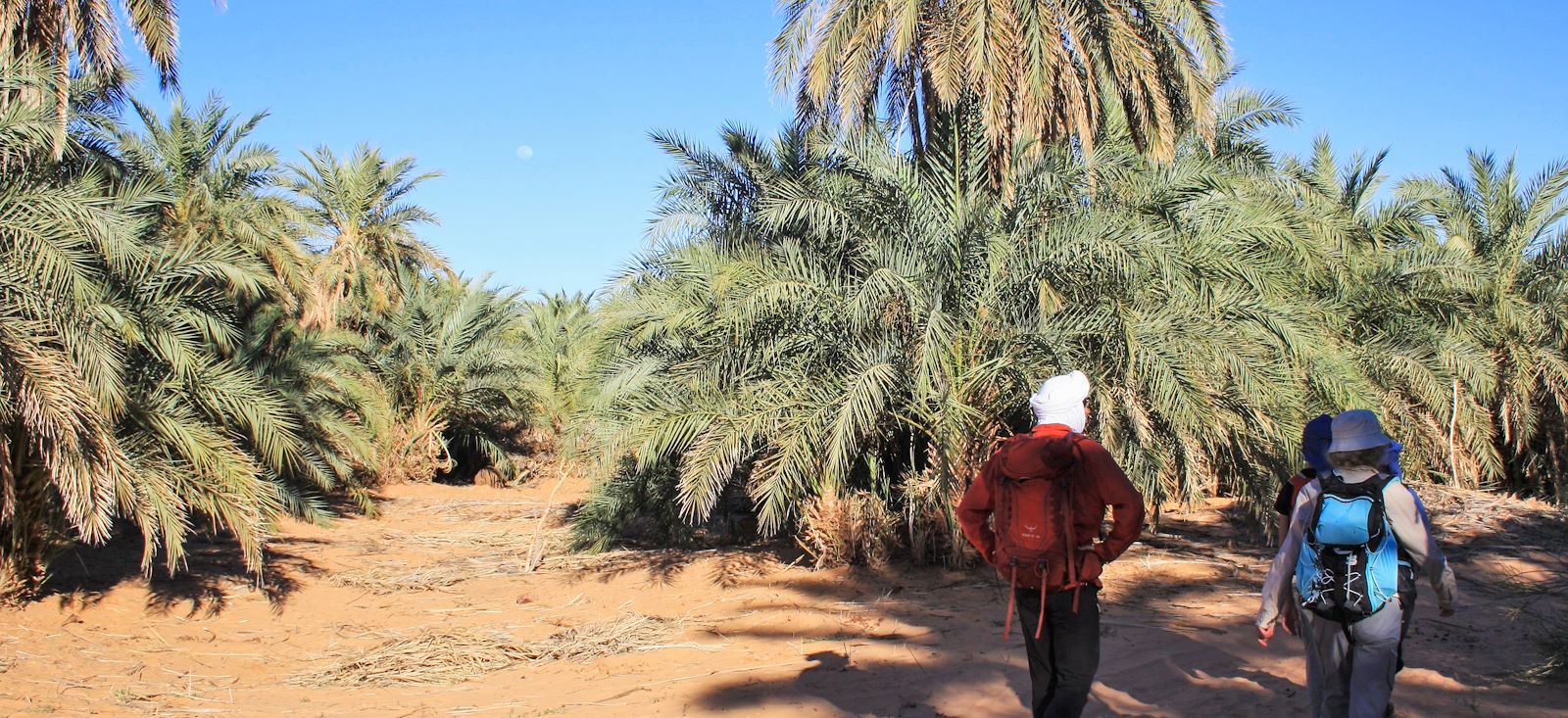 Image Charme de l'Adrar
