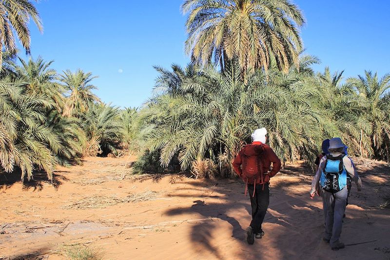 Oasis de Gleïtat - Mauritanie