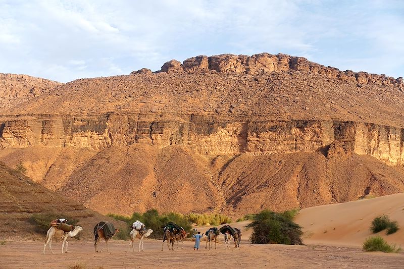 Vers l'oasis de Terjit - Mauritanie