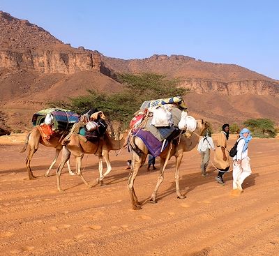 Trek et randonnée Mauritanie
